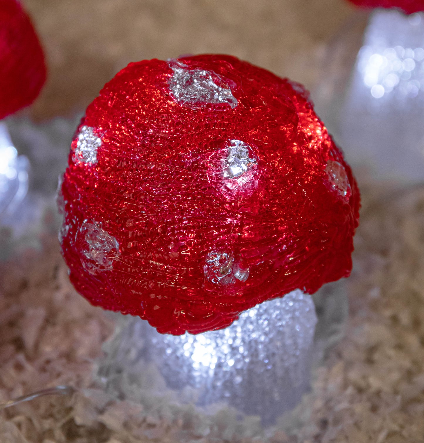 Set of 5 Battery Operated Red & White Acrylic Christmas Mushrooms with Cool White LEDs