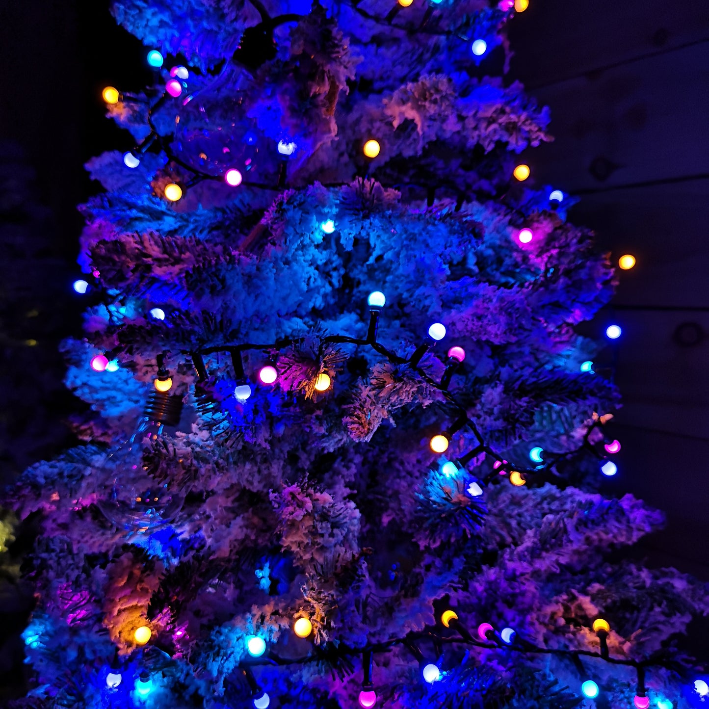 7.5m Frosted Berry Christmas Lights with 300 LEDs in Rainbow