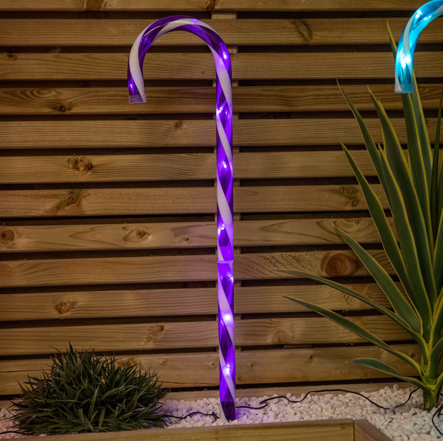 62cm Set of 4 Light up Christmas Candy Cane Garden Path Lights with 40 Rainbow LEDs