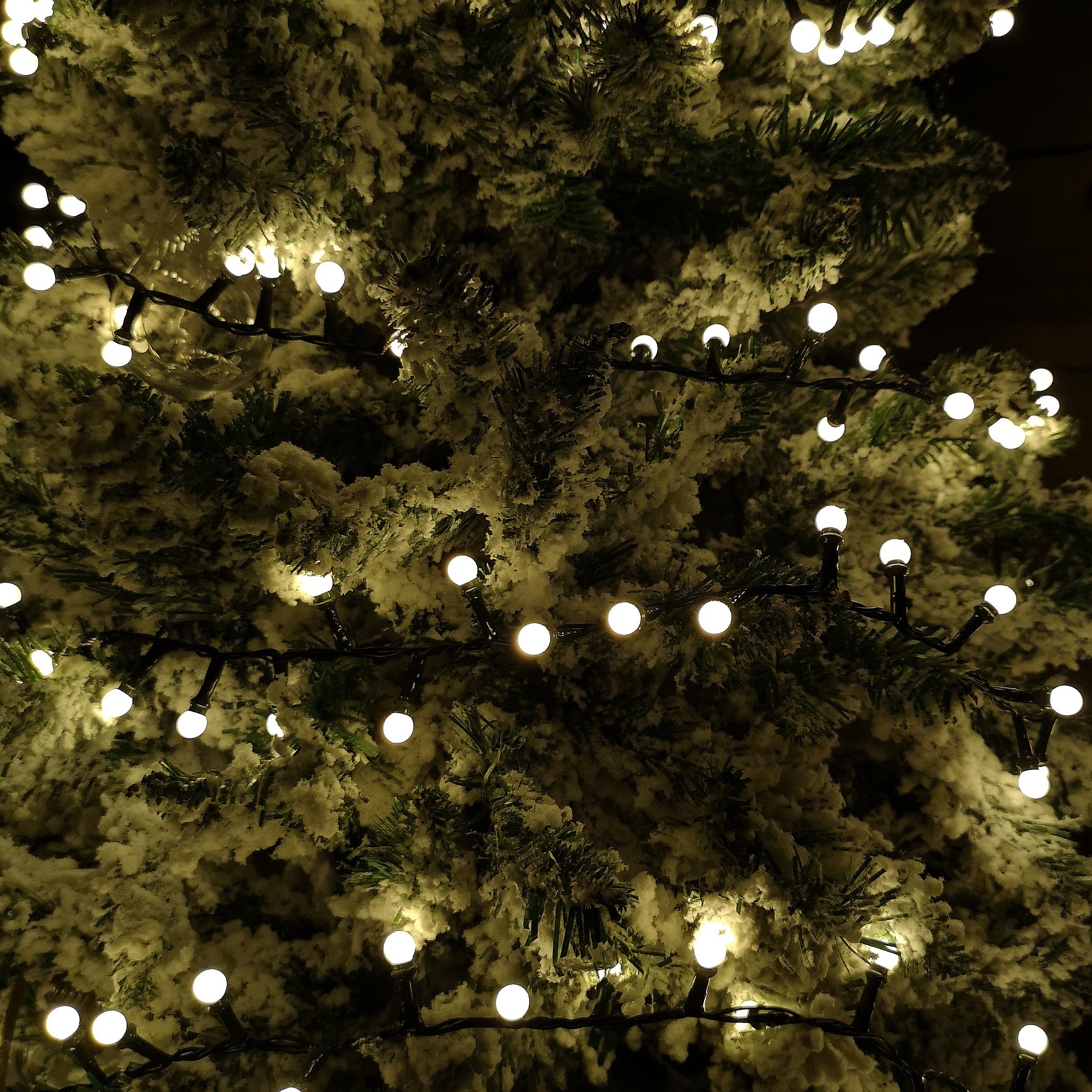 3.75m Frosted Berry Christmas Lights with 150 LEDs in Warm White