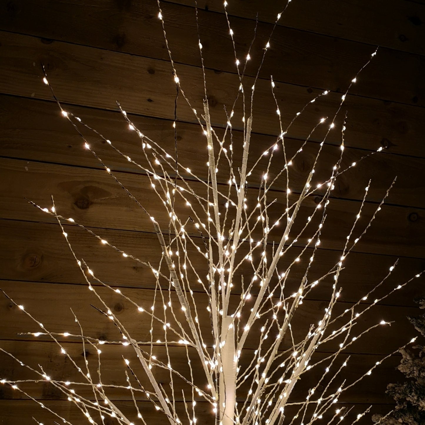 6ft (1.8m) White Modelling Micro Dot Tree with 1,300 Twinkling LEDs in Warm white 