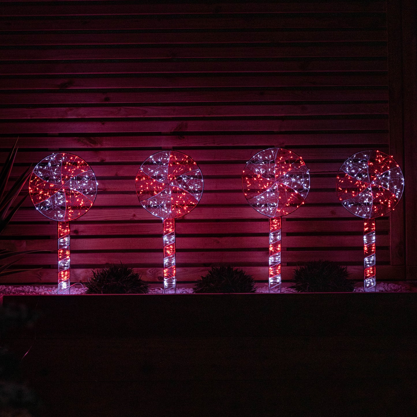 Set of 4 60cm Light up Christmas Lollipop Garden Path Lights with 720 Red & White LEDs