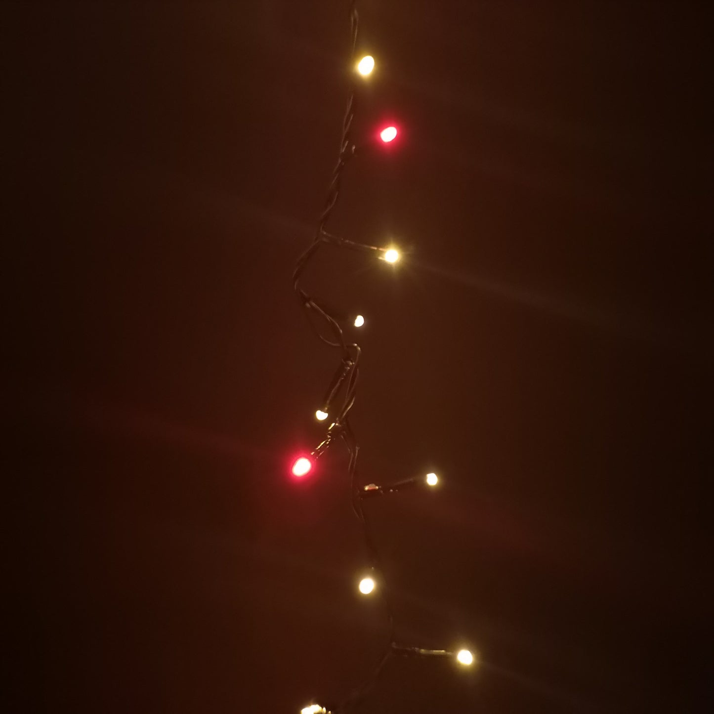 125m Treebrights Christmas Lights with 5000 LEDs in Red and Vintage Gold with Timer