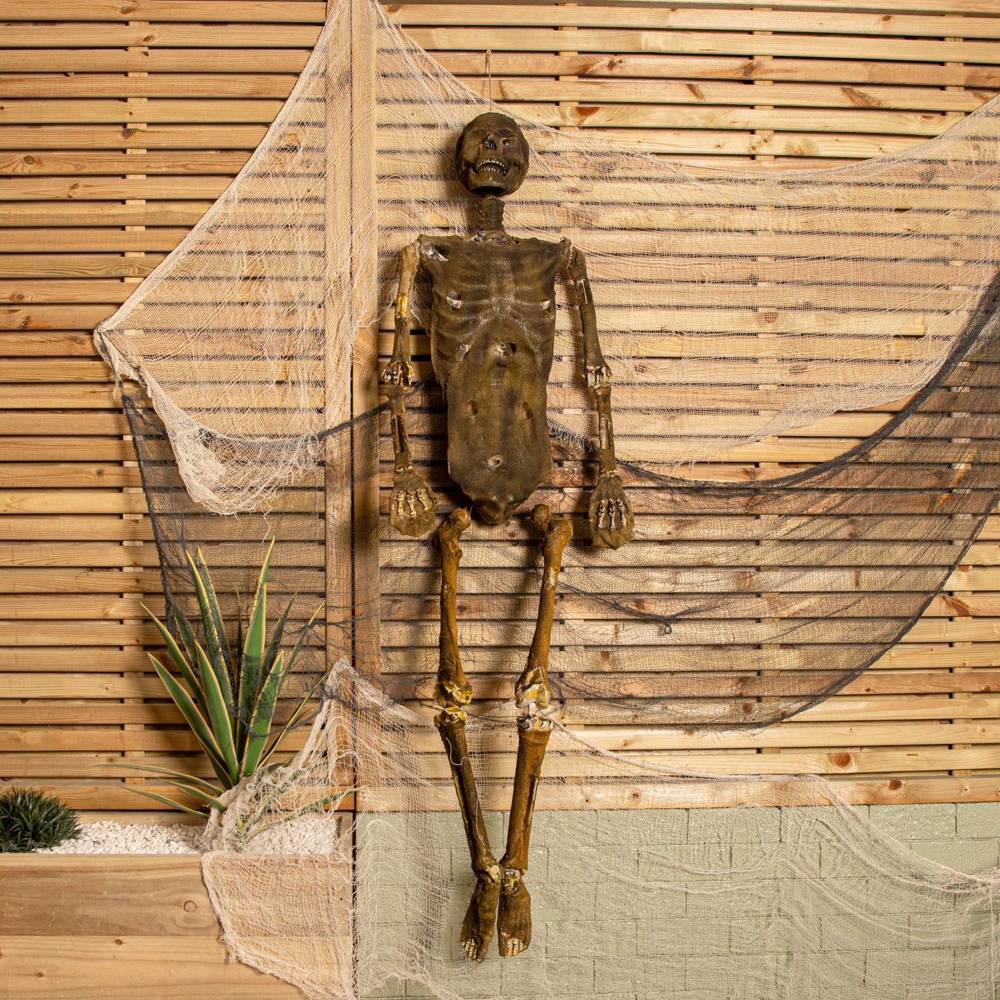 5ft (150cm) Full Body Halloween Mummified Skeleton Decoration with Posable Joints