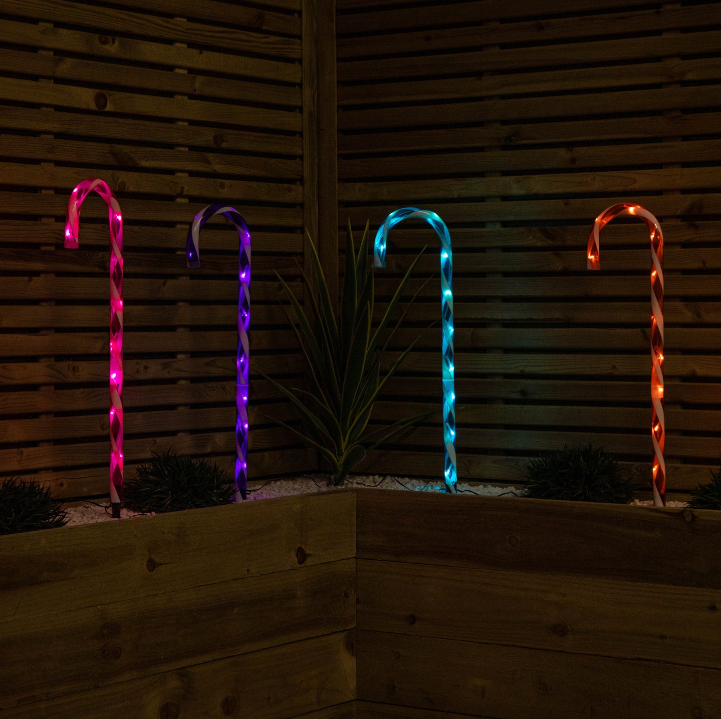 62cm Set of 4 Light up Christmas Candy Cane Garden Path Lights with 40 Rainbow LEDs