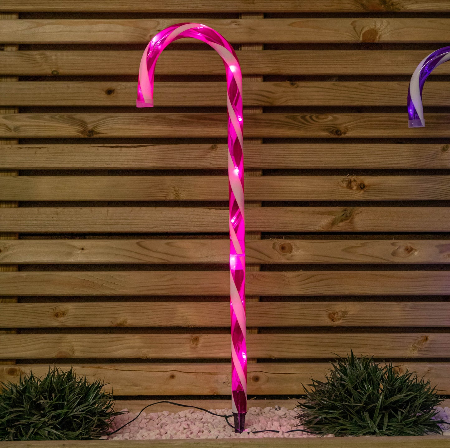 62cm Set of 4 Light up Christmas Candy Cane Garden Path Lights with 40 Rainbow LEDs