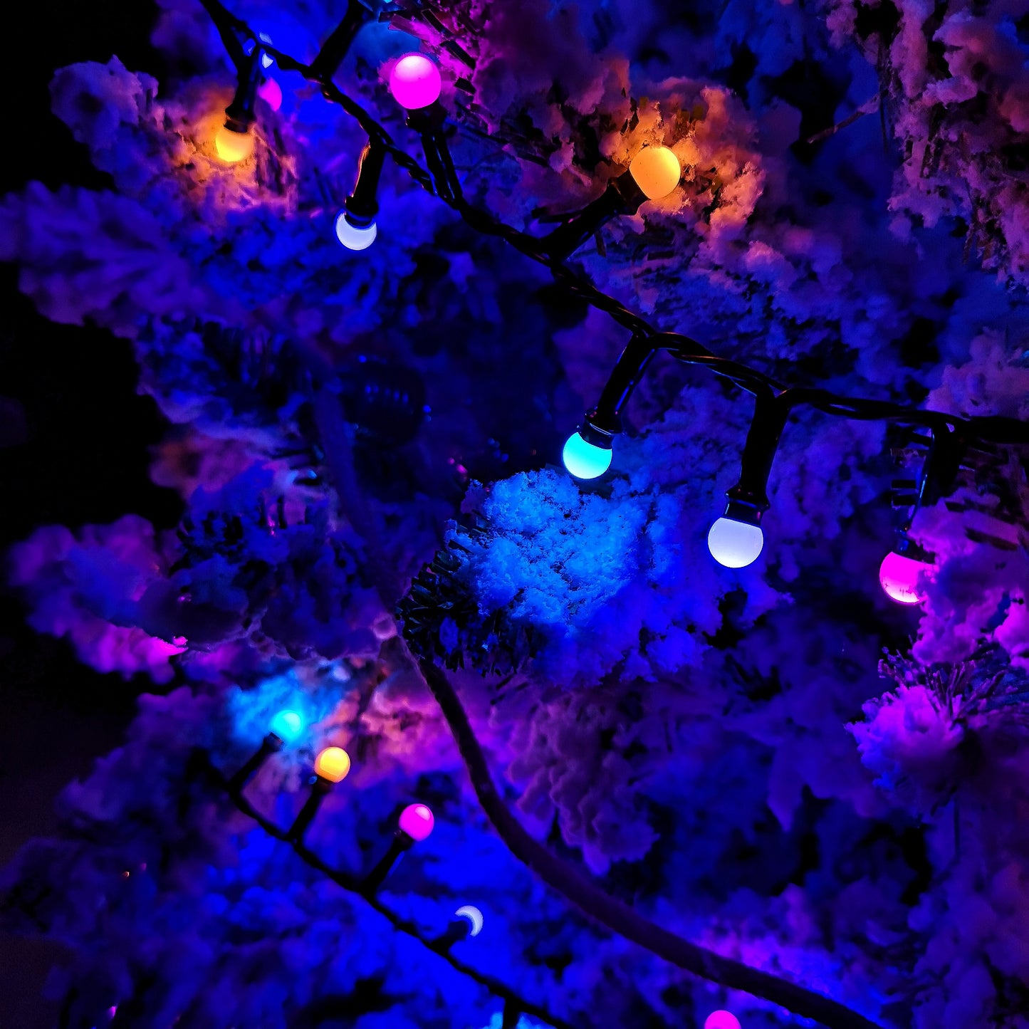 7.5m Frosted Berry Christmas Lights with 300 LEDs in Rainbow