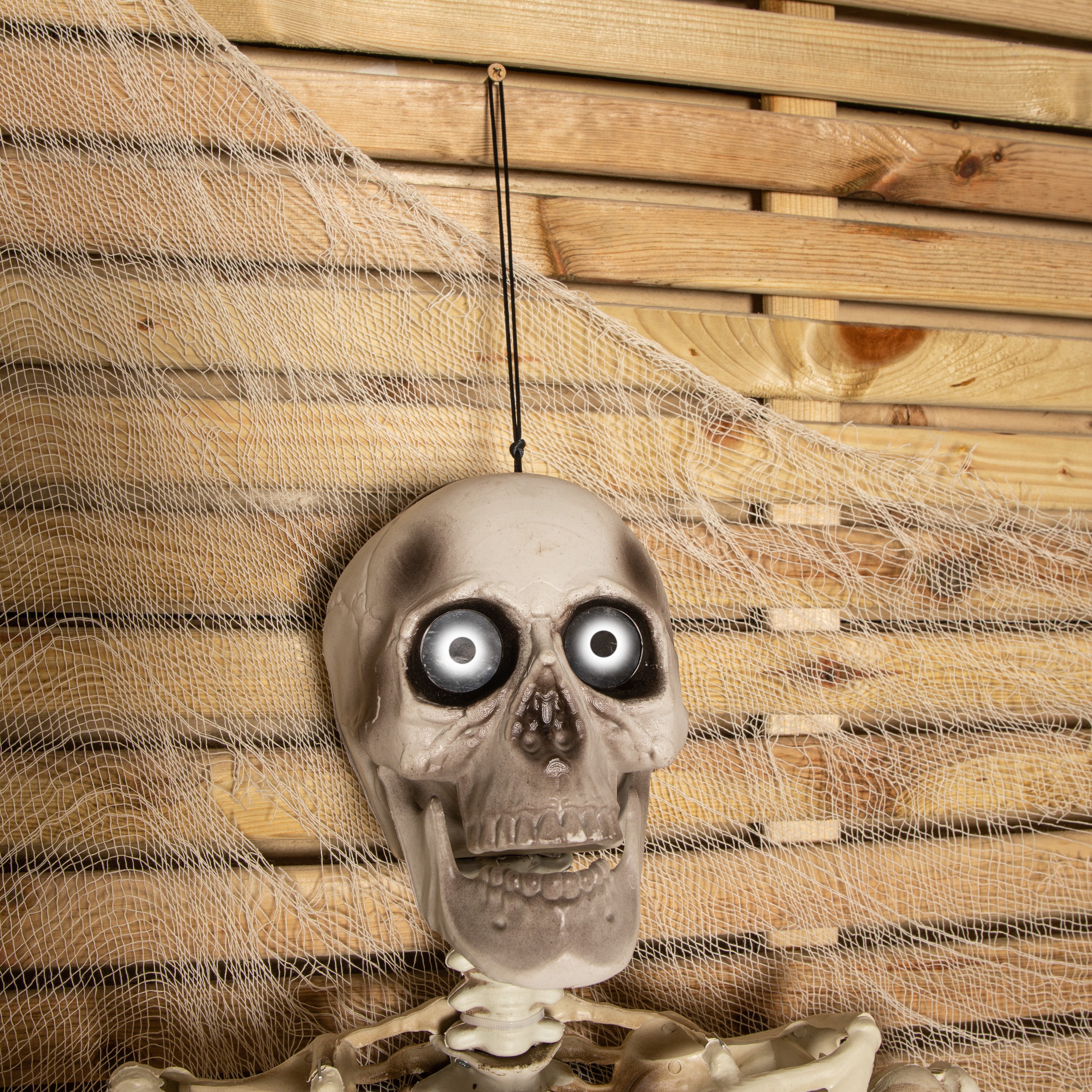 Halloween 2024 Skeleton Decor