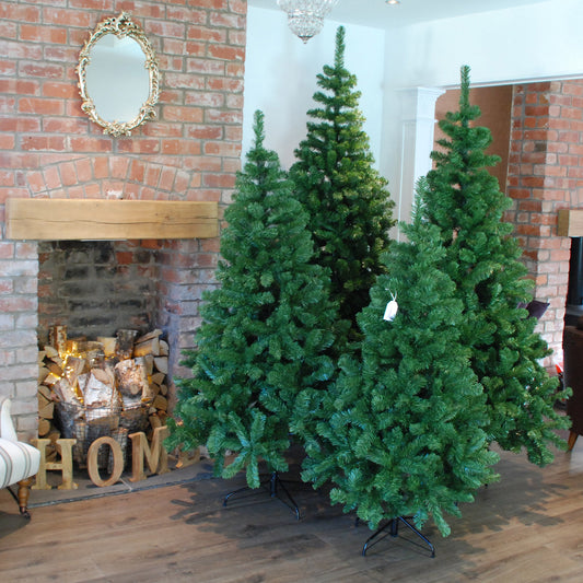 4ft, 5ft, 6ft, 7ft or 8ft Samuel Alexander Christmas Tree in Plain Green