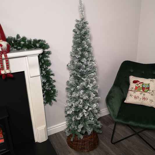 5.5ft (1.7m) Premier Snow Flocked Spruce Pine Slim Christmas Tree in Green